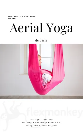 Instructor training Aerial Yoga - de basis (deel 1)